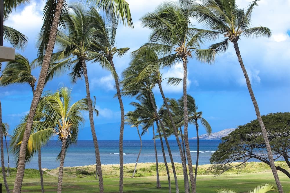 Kauhale makai maui condo home hotel in undefined