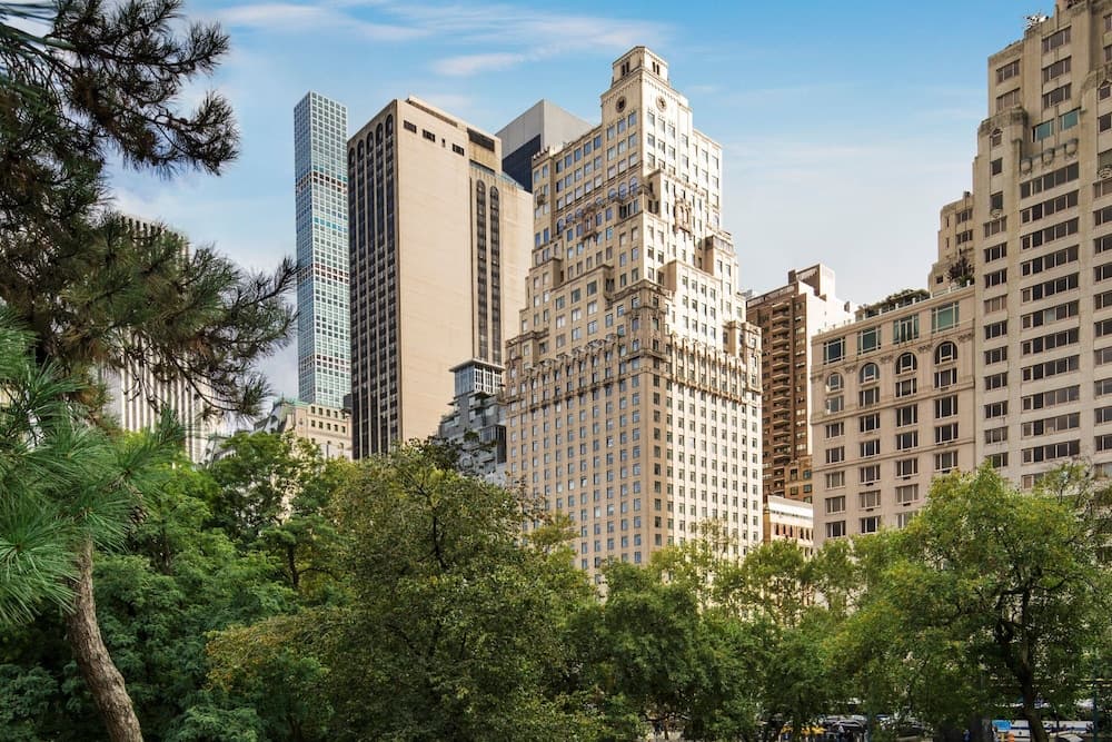 The ritz-carlton new york, central park hotel in undefined