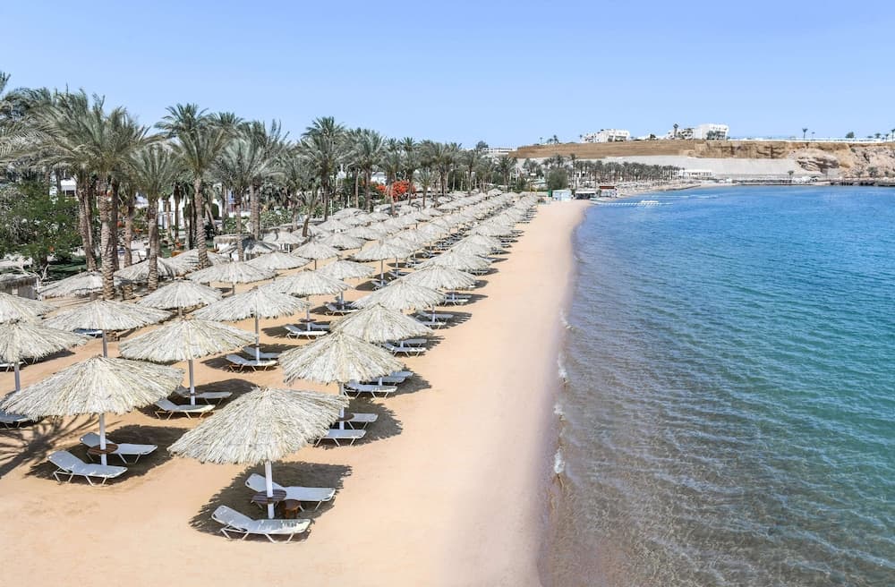 Iberotel palace adults friendly 16 years plus hotel in undefined