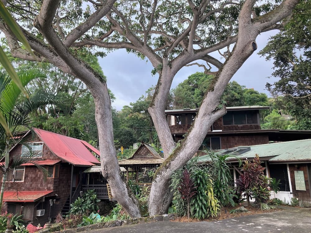 Hale maluhia country inn hotel in undefined