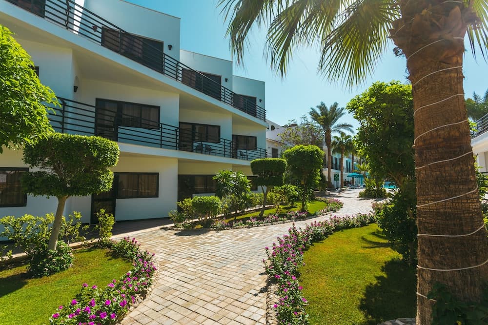 La rosa waves beach couple families only hotel in undefined