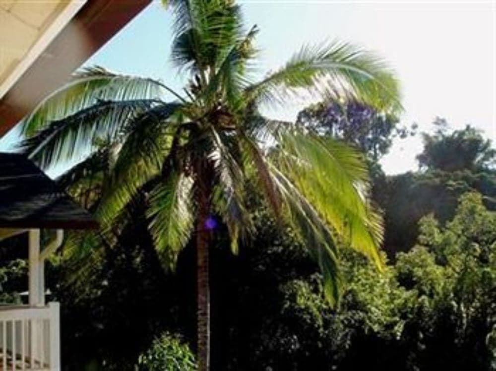Bamboo valley inn hotel in undefined