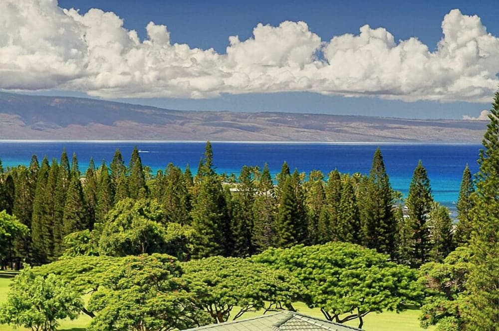 Kapalua golf villa 19 v 1 gold ocean view hotel in undefined