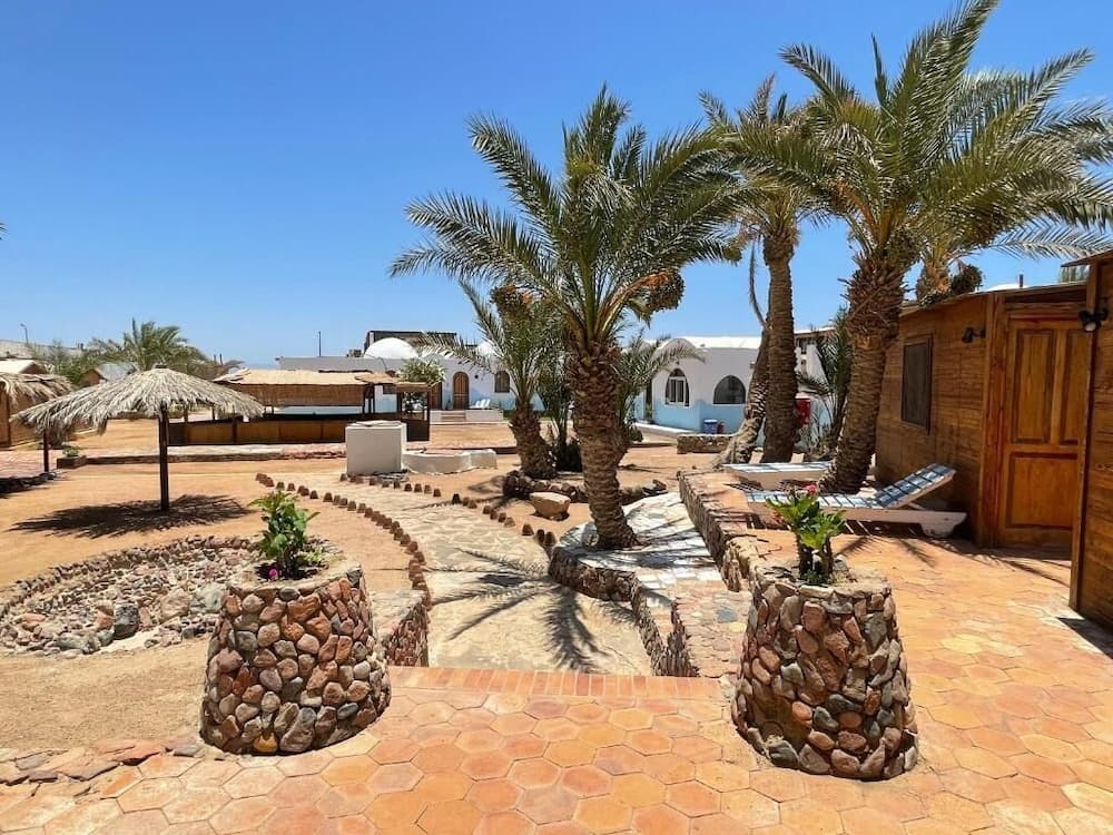 Dolphin camp hotel in undefined