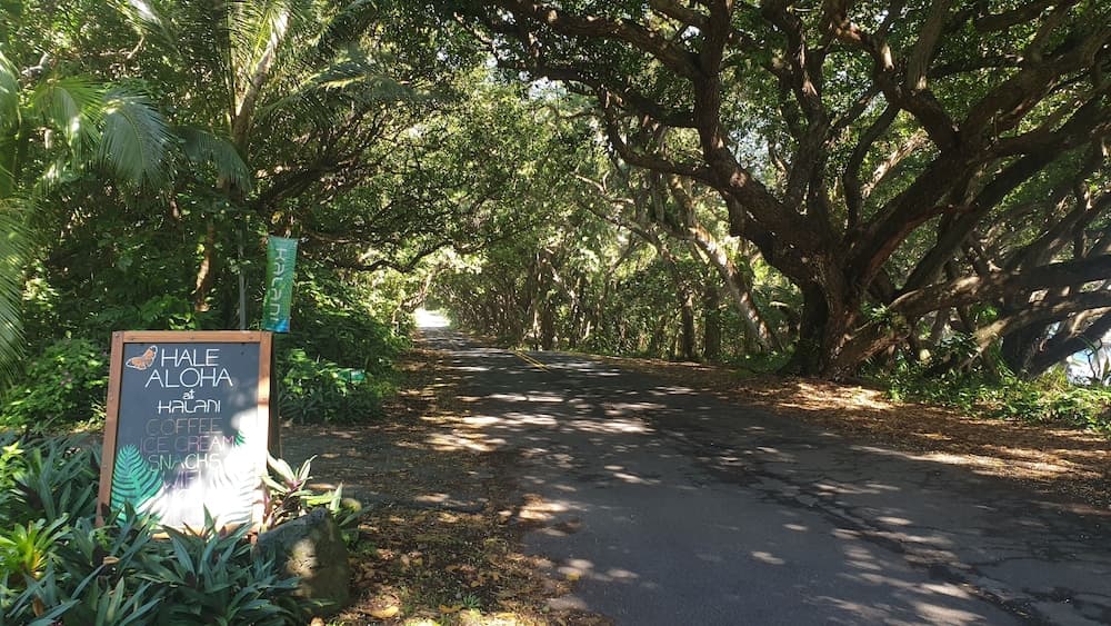 Kalani oceanside retreat hotel in undefined